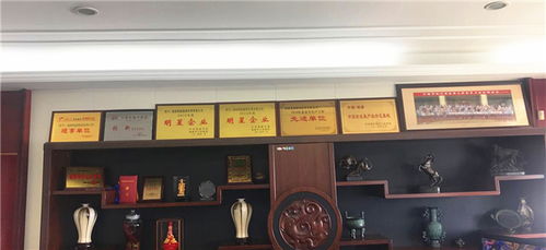 植絨系列產(chǎn)品的專業(yè)制造 福建強盛植絨皮革