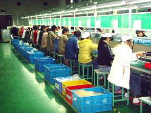 平陽縣雨諾工藝品廠 公司簡介